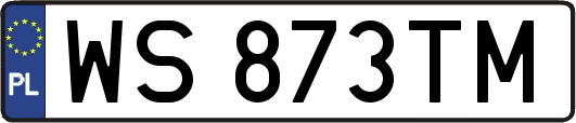 WS873TM