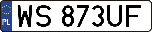 WS873UF