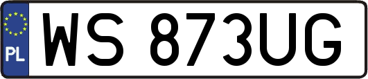 WS873UG