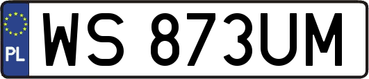 WS873UM