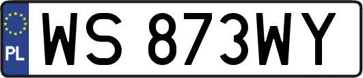 WS873WY