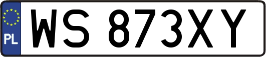 WS873XY