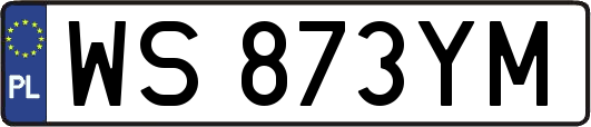 WS873YM