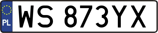 WS873YX