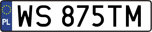 WS875TM