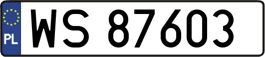 WS87603