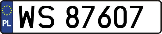 WS87607