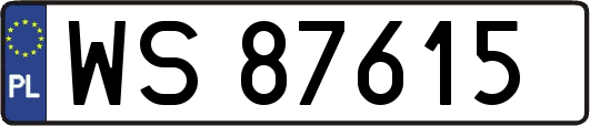 WS87615