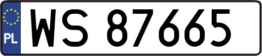 WS87665