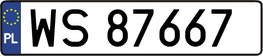 WS87667