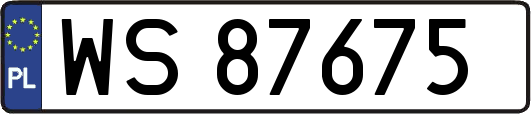 WS87675