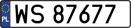 WS87677