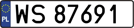 WS87691