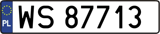 WS87713