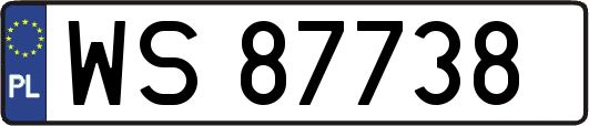 WS87738