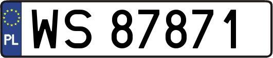 WS87871