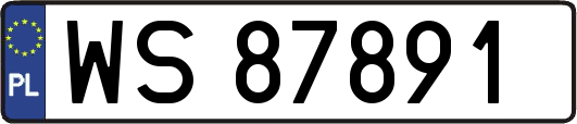 WS87891