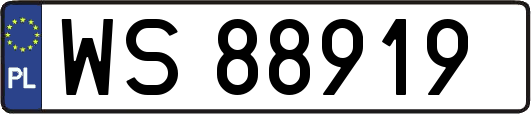 WS88919