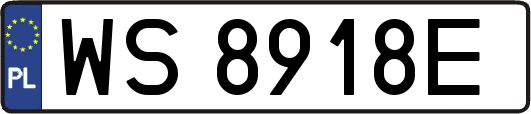 WS8918E