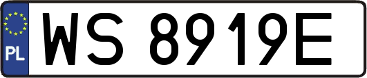 WS8919E