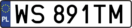WS891TM