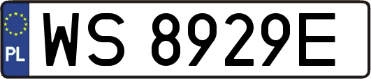 WS8929E