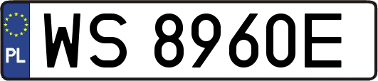 WS8960E