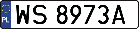 WS8973A