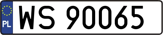 WS90065