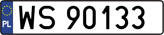 WS90133