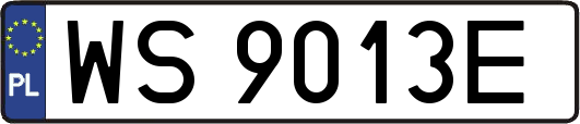 WS9013E
