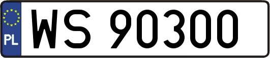 WS90300