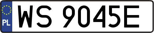 WS9045E