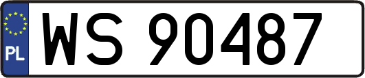 WS90487