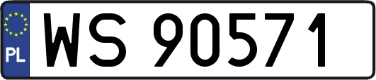WS90571