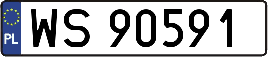 WS90591