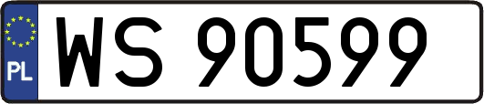 WS90599