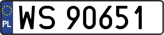 WS90651