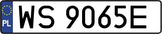 WS9065E