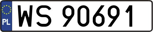 WS90691