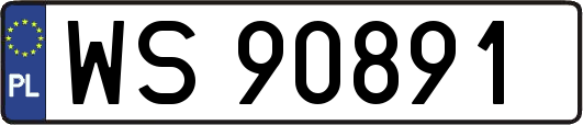 WS90891