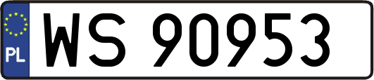 WS90953