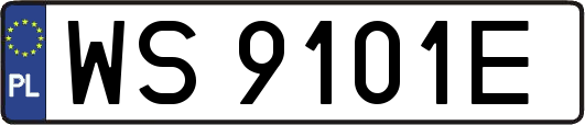 WS9101E