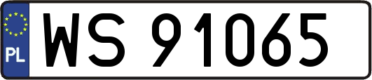 WS91065