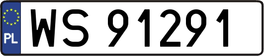 WS91291
