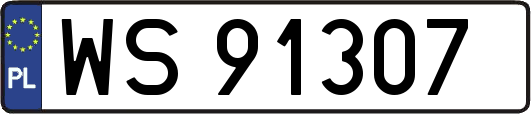 WS91307
