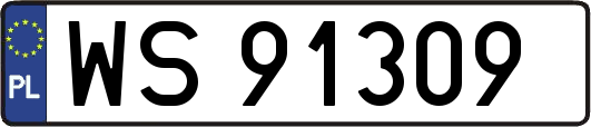 WS91309