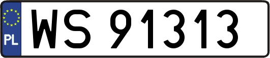 WS91313