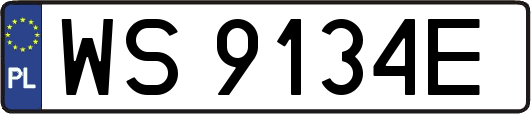 WS9134E