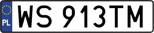 WS913TM